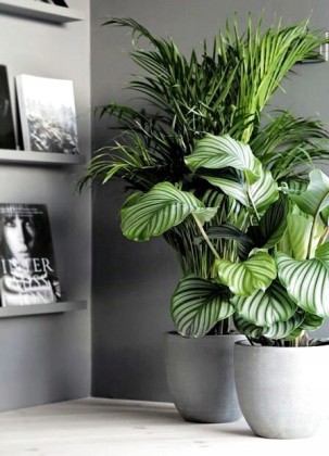b714d915356c1239da3036f3be93d4fa.jpg